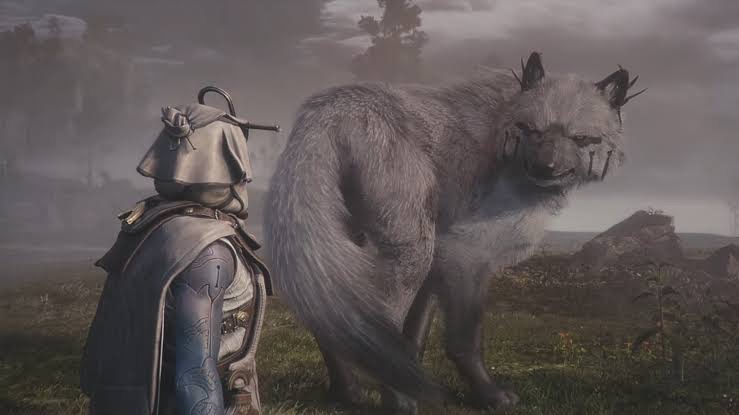 Soulframe.jpeg